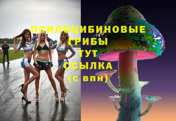 mdpv Кинешма