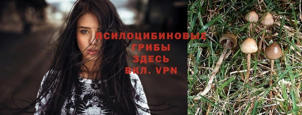 mdpv Кинешма