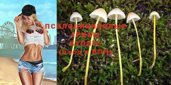 амф Козловка