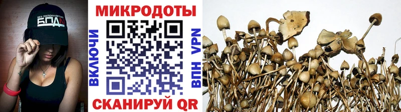 Галлюциногенные грибы мухоморы  Купить  Сланцы 